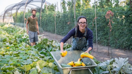 Activiteit: Bezoek aan ’t Lekkerland van De Landgenoten en het steenbakkerijmuseum ’t Geleeg