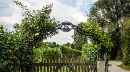 Wijnproeverij – Domein Vigna Wijnegem