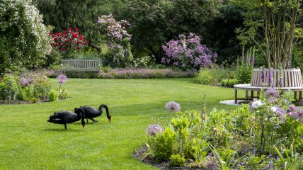 Seizoenswandeling’ in het Arboretum Kalmthout